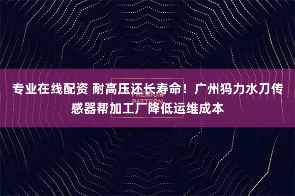 专业在线配资 耐高压还长寿命！广州犸力水刀传感器帮加工厂降低运维成本